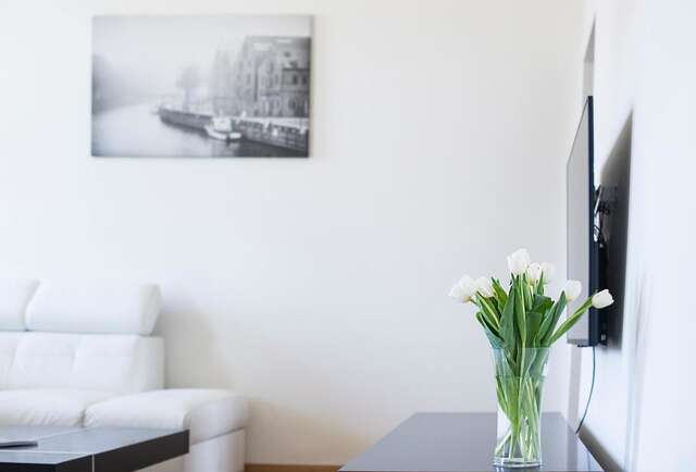 Апартаменты Red Brick Apartments Клайпеда-3